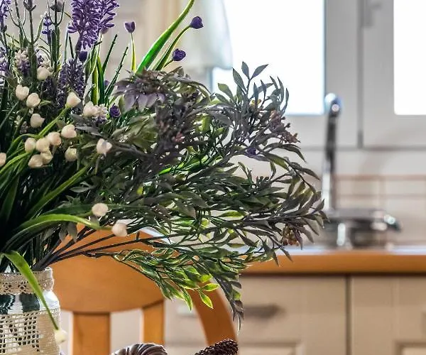 度假居 Sun Nest House *